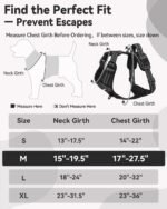 Joytale No Pull Dog Harness & Seat Belt, Easy On 3-Buckle, M, Black - Image 7