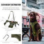 OneTigris Dog Lift Harness for Large Dogs, Dog Hip Support Brace, Full Body Lifter with Handles Invictus Multifunctional Mobility Assistance Vest for Back Legs (Green, Large) - Image 4
