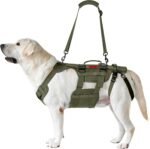 OneTigris Dog Lift Harness for Large Dogs, Dog Hip Support Brace, Full Body Lifter with Handles Invictus Multifunctional Mobility Assistance Vest for Back Legs (Green, Large) - Image 5