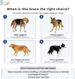 Dog Elbow Brace for Front Right Leg - Elbow Dysplasia & Arthritis Support, Vet Approved, Adjustable with Removable Splints, Orthopedic Dog Sleeve for Injuries & Recovery (X Small) - Image 4