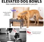 Elevated Dog Bowls with 2 Stainless Steel Bowls, 5-Height Adjustable Stand (3.1", 9" to 12"), for Improved Digestion & Neck Support, Easy Clean, Non-Slip Base Raised Feeder for Medium Large Dogs - Image 4