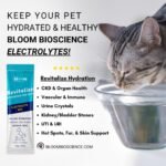 Bloom Bioscience Hydro-Life for Pets - Electrolytes for Dogs & Cats - Dog Electrolytes for Hydration - Works as Dog Hydration Supplement for Dehydration - Pet Water Enhancer Support - 32 Sticks - Image 4