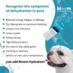 Bloom Bioscience Hydro-Life for Pets - Electrolytes for Dogs & Cats - Dog Electrolytes for Hydration - Works as Dog Hydration Supplement for Dehydration - Pet Water Enhancer Support - 32 Sticks - Image 5