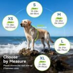 VIVAGLORY Dog Life Vest Sports Style Dog Swim Vest, S, Blue - Image 6