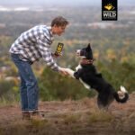 MOUNTAIN WILD Training Treats for Dogs - Wild Elk & Venison - 4oz, 3 Bags - Image 5