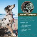 Wilderdog Carabiner Climbing Rope Dog Leash for Medium & Large Dogs - 5ft - Pacific Blue - Image 3