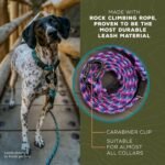 Wilderdog Carabiner Climbing Rope Dog Leash for Medium & Large Dogs - 5ft - Pacific Blue - Image 4