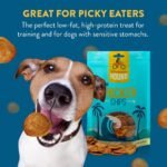 Chicken Chips Dog Treats, Single Ingredient, 16oz - Image 5