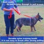 Strong Durable Nylon 10ft Long Dog Training Leash, Traction Rope, 1 Inch Wide, for Small and Medium Dog (Black, 10 Feet) - Image 5