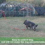 Strong Durable Nylon 10ft Long Dog Training Leash, Traction Rope, 1 Inch Wide, for Small and Medium Dog (Black, 10 Feet) - Image 6