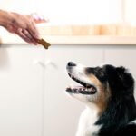 Milk-Bone Simply Soft & Chewy Dog Treats, Wholesome Chicken Recipe, 25 Ounce Made with Real Chicken, Rolled Oats, Sweet Potato & Apples - Image 5