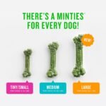Minties Mint Dental Chews for Dogs, Small Breeds 5-25 lbs, 34 Count - Image 3