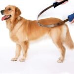 BOTH WINNERS Dual-Sided Shedding Blade with Stainless Steel Blade De-Shedding Tool for All Dog Coat Types- Soft Touch Grip (BLUE) - Image 6