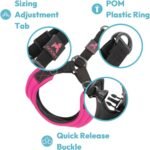 Gooby Escape Free Sport Dog Harness, Choke-Free, Turquoise, Medium - Image 6