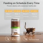 Automatic Cat Feeder - 4L Timed Auto Pet Feeder for Cat and Dog with Dry Food Dispenser, 180-day Battery Life, 1-6 Meals Per Day, 1-16 Portion, Desiccant Bag Keeps Food Fresh - Image 3