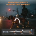 LED Light-Up Dog Harness Rechargeable for Nighttime Safety Walks (Large) - Image 2