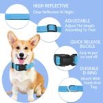 Reflective Dog Collar with Safety Locking Buckle (Collar+Leash) - Image 2