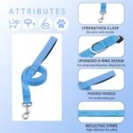 Reflective Dog Collar with Safety Locking Buckle (Collar+Leash) - Image 3