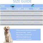 Reflective Dog Collar with Safety Locking Buckle (Collar+Leash) - Image 4