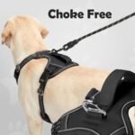 Funfox Dog Harness Medium Sized Dog, Vertical Handle Easy Control, No Pull Pet Vest Adjustable with 2 Leash Clips, Soft Material, Reflective Safe Night Walking for Small Medium Large Breed, Black, M - Image 3