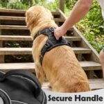 Funfox Dog Harness Medium Sized Dog, Vertical Handle Easy Control, No Pull Pet Vest Adjustable with 2 Leash Clips, Soft Material, Reflective Safe Night Walking for Small Medium Large Breed, Black, M - Image 4