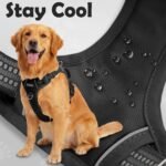 Funfox Dog Harness Medium Sized Dog, Vertical Handle Easy Control, No Pull Pet Vest Adjustable with 2 Leash Clips, Soft Material, Reflective Safe Night Walking for Small Medium Large Breed, Black, M - Image 5