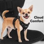 Funfox Dog Harness Medium Sized Dog, Vertical Handle Easy Control, No Pull Pet Vest Adjustable with 2 Leash Clips, Soft Material, Reflective Safe Night Walking for Small Medium Large Breed, Black, M - Image 6