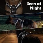 Funfox Dog Harness Medium Sized Dog, Vertical Handle Easy Control, No Pull Pet Vest Adjustable with 2 Leash Clips, Soft Material, Reflective Safe Night Walking for Small Medium Large Breed, Black, M - Image 7