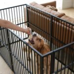 31.5" H Heavy Duty Dog Playpen Indoor - Image 4