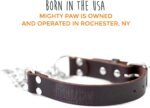 Mighty Paw Martingale Dog Collar - No Pull Design - Stainless Steel Chain - Limited Chain Cinch Training - Brown Leather Martingale Training Collar - Large Size - Image 8