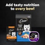 Cesar Mini-Pouch Wet Dog Food, Filet Variety Pack, 1.76 oz, 40 Count - Image 6