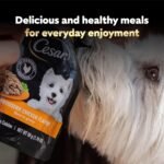 Cesar Mini-Pouch Wet Dog Food, Filet Variety Pack, 1.76 oz, 40 Count - Image 8