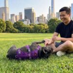 Tuff Pupper Escape Proof Dog Harness for Small Dogs | No Pull Lightweight Adjustable Harness | No Escape Multifunctional Outdoor Pet Gear | Strong Durable Breathable | Secure Comfortable Fit - Image 3