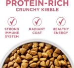 Purina ONE Plus Skin & Coat, Sensitive Stomach Dry Dog Food, 8 lb Bag - Image 7