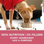 Purina ONE Plus Skin & Coat, Sensitive Stomach Dry Dog Food, 8 lb Bag - Image 9