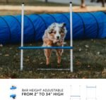 Better Sporting Dogs Complete Starter Agility Set for Dogs, 5 Piece - Image 3