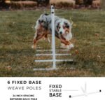 Better Sporting Dogs Complete Starter Agility Set for Dogs, 5 Piece - Image 5