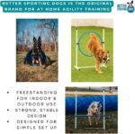 Better Sporting Dogs Complete Starter Agility Set for Dogs, 5 Piece - Image 8