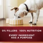 Purina ONE True Instinct Grain Free Wet Dog Food Variety Pack, (6) 13 oz - Image 9