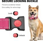3 PCS Dog Collars for Medium Dogs,Reflective Dog Collar Adjustable Soft Nylon with Safety Locking Buckle Girl Dog Collars,Hotpink+Purple+Red,M - Image 4