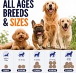 Probiotics for Dogs - 170 Dog Probiotics Chews - Digestive Enzymes Support - Image 6