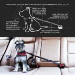 EzyDog Click - Dog Seat Belt Car Restraint - 17in - 26in - Image 3