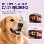 Dual-Head Dog Toothbrush for Medium & Large Dogs, Purple - Image 6