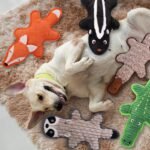 5 Pack No Stuffing Squeaky Dog Toys for Large Dogs - Interactive Durable Plush Chew Toy with Crinkle Paper, Safe Pet Toy for Small to Large Breed, Ideal for Puppy Gifts & Tug of War Toys - Image 6