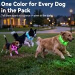 Joytale Light Up Dog Collar, 7 Color Night Safety & Daily Wear, Black, M - Image 3