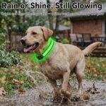 Joytale Light Up Dog Collar, 7 Color Night Safety & Daily Wear, Black, M - Image 5