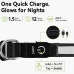 Joytale Light Up Dog Collar, 7 Color Night Safety & Daily Wear, Black, M - Image 6
