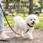 Joytale Light Up Dog Collar, 7 Color Night Safety & Daily Wear, Black, M - Image 7