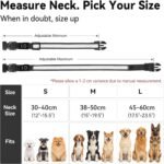 Joytale Light Up Dog Collar, 7 Color Night Safety & Daily Wear, Black, M - Image 9
