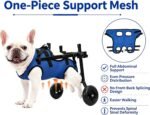 Dog Wheelchair for Back Legs, Adjustable Support for Small Dogs, M - Image 4